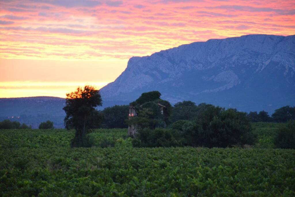 Appartement Vue Sainte Victoire, proche Aix-en-Provence à Pourrieres Extérieur photo